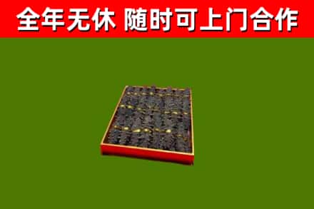 斗门区回收海参
